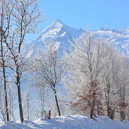 Apartment Mountain Panorama By Z-K-H Rentals Zell am See Esterno foto