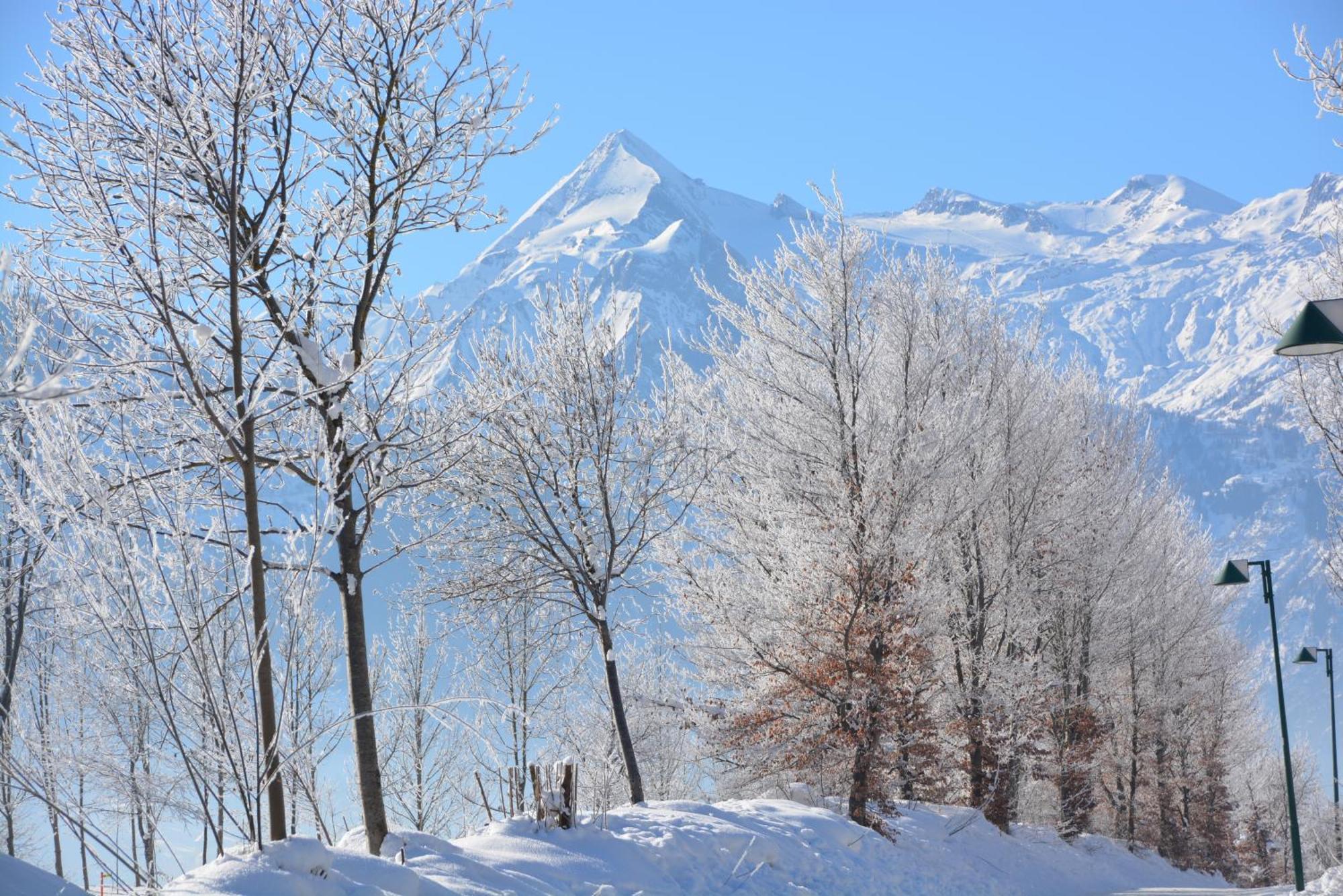 Apartment Mountain Panorama By Z-K-H Rentals Zell am See Esterno foto